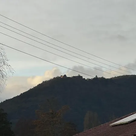 Alte Bank In Apartament *