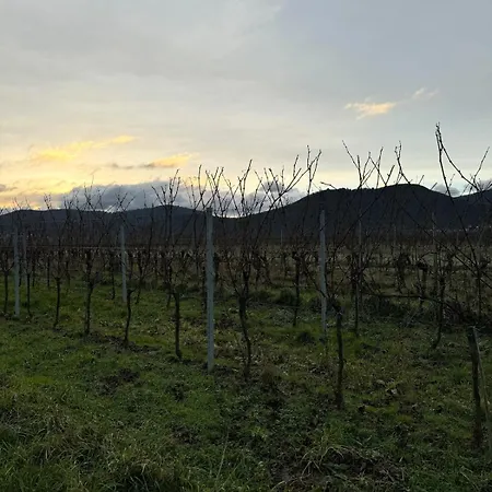 Alte Bank In Apartament *