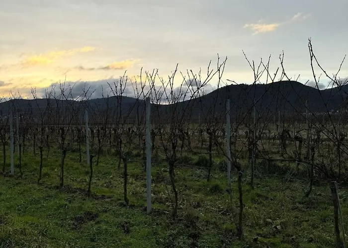 Alte Bank In Apartamento *